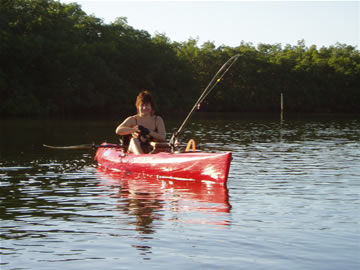 Kayaker at Cockroach bay